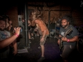 Battlecross @ The Shelter in Detroit, Mi | Photo by John E Bacon