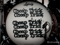 Cheap Trick @ Arts Beats & Eats, Mi | Photo by John E Bacon