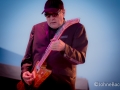Cheap Trick @ Arts Beats & Eats, Mi | Photo by John E Bacon