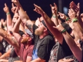 Crowd Shots @ DirtFest 2015 in Birch Run, MI