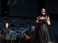 Evanescence @ DTE Energy Music Theatre in Clarkston, Michigan