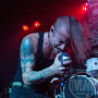 img_1333 img_1333