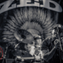 zed-phoenixtheater-petaluma_ca-20131213-011